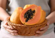 Papaya Benefits: क्या पपीता खाकर आप भी अपना वजन कम कर सकते हैं? जानें इसका सही तरीका!
